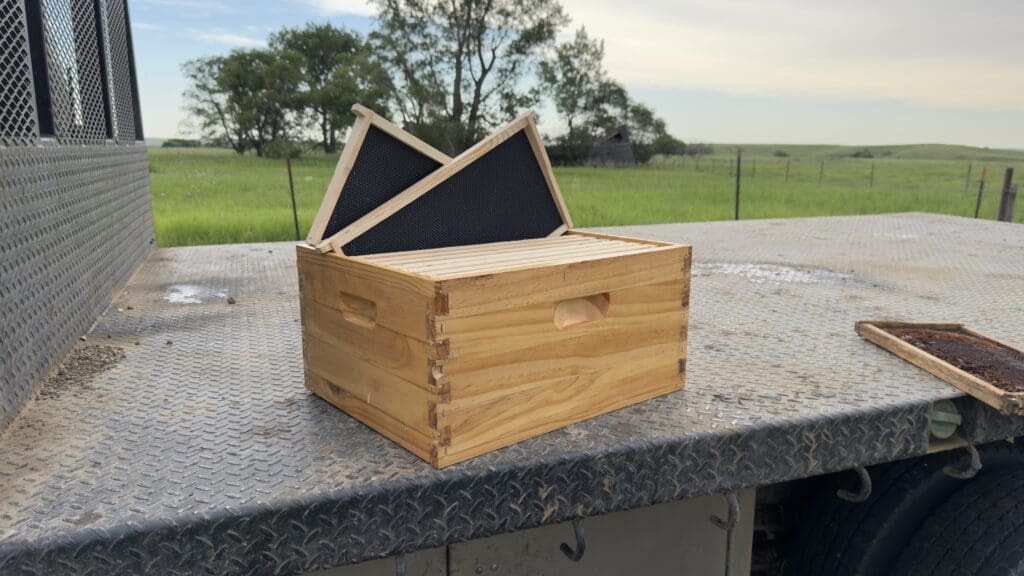 Medium honey super box with frames for Langstroth hive